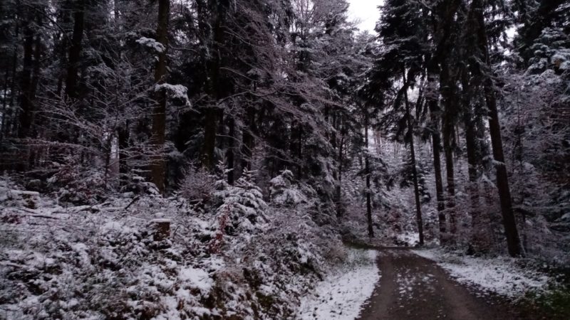 Entspannen durch Nichtstun: Ist das wirklich sinnvoll?