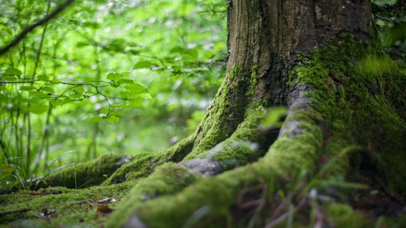 Wo kann man Entspannen? 4 Ruhe-Orte in deiner Umgebung